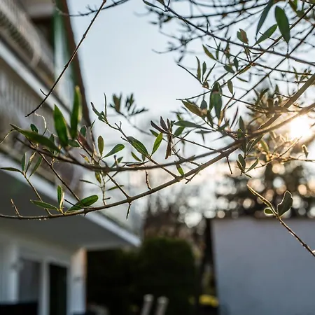 Reet Am Rhein - Chateau 아파트 보파르트