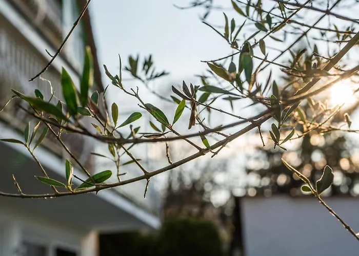 Reet Am Rhein - Chateau Apartment Boppard