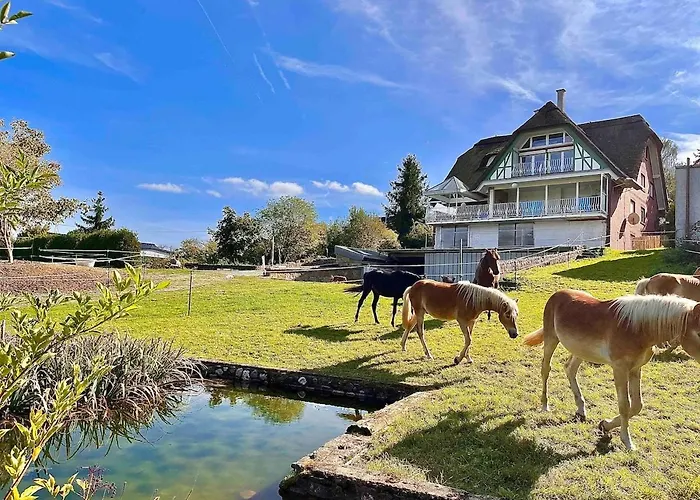 Reet Am Rhein - Chateau Apartment *