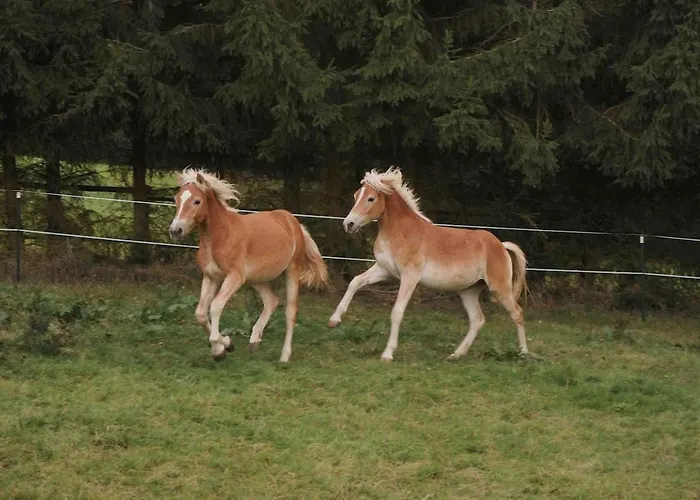 Reet Am Rhein - Chateau Διαμέρισμα *